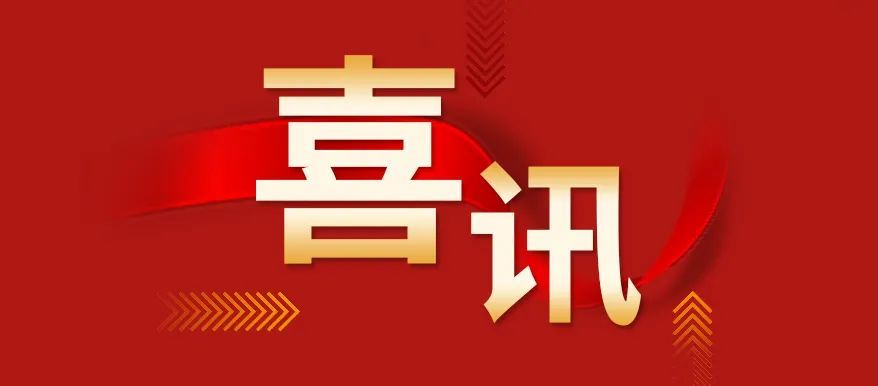 山东分公司正式成立